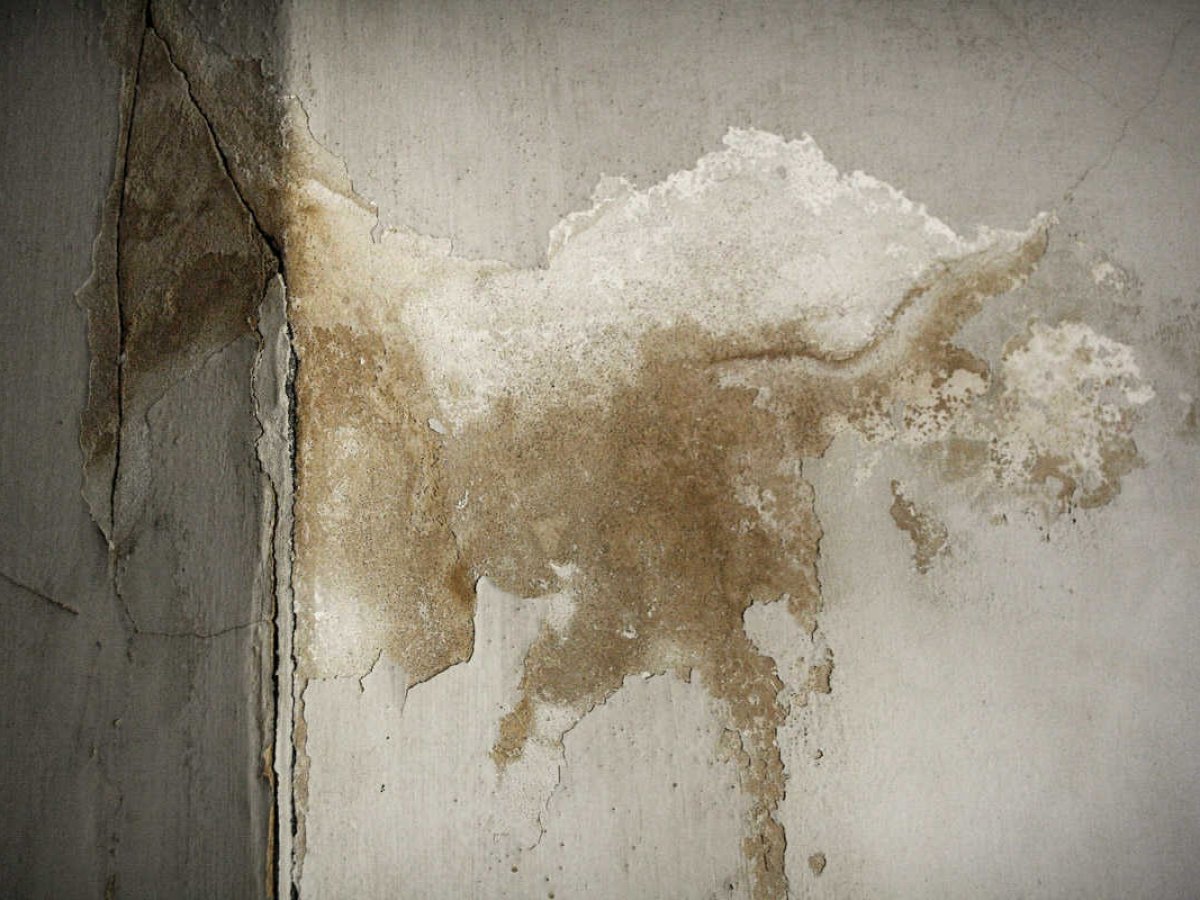 Supprimer La Condensation Dans Une Maison | Ventana Blog