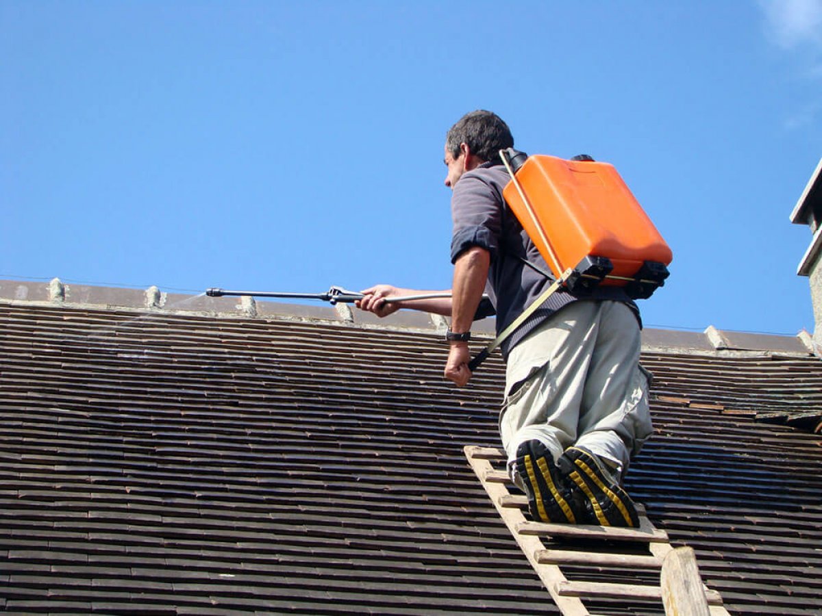 Tutoriel : comment démousser un toit ?