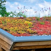Construire une toiture végétalisée : coût et devis