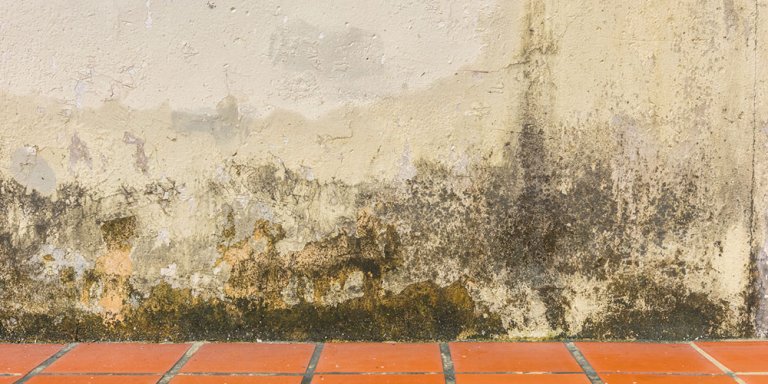 Comment faire un cuvelage des murs