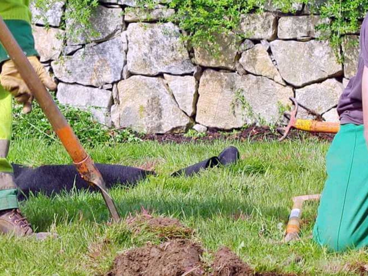 Polite mixer hand in prix horaire taille de haie Walnut movies confess