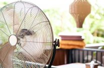 Rafraîchir sa maison : les astuces pour faire baisser la température en été