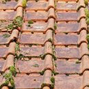 Prolifération de mousse de toit : pourquoi faut-il démousser sa toiture ?